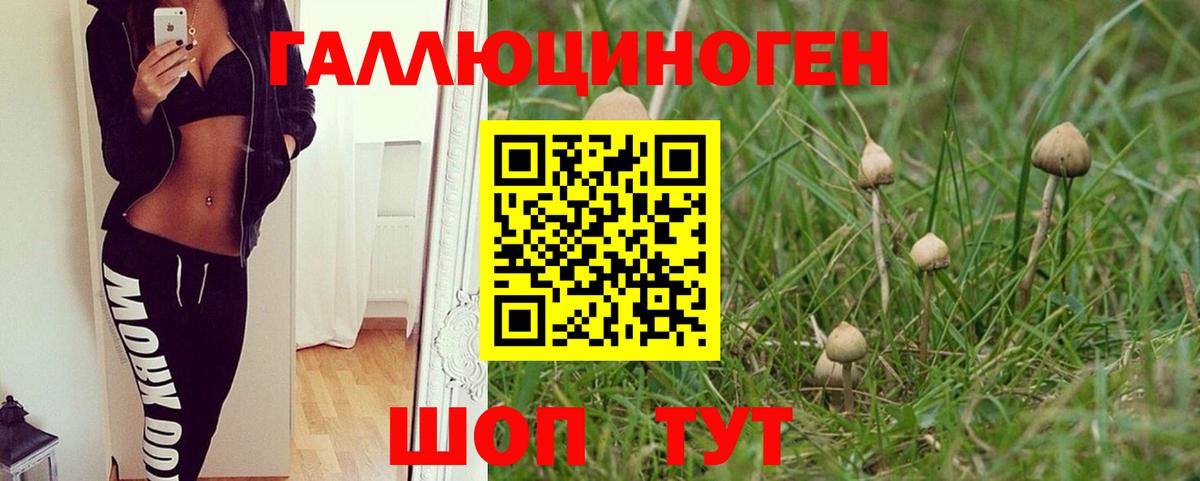 Псилоцибиновые грибы GOLDEN TEACHER Иваново